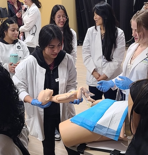  Student using a birthing mannequin to practice skills